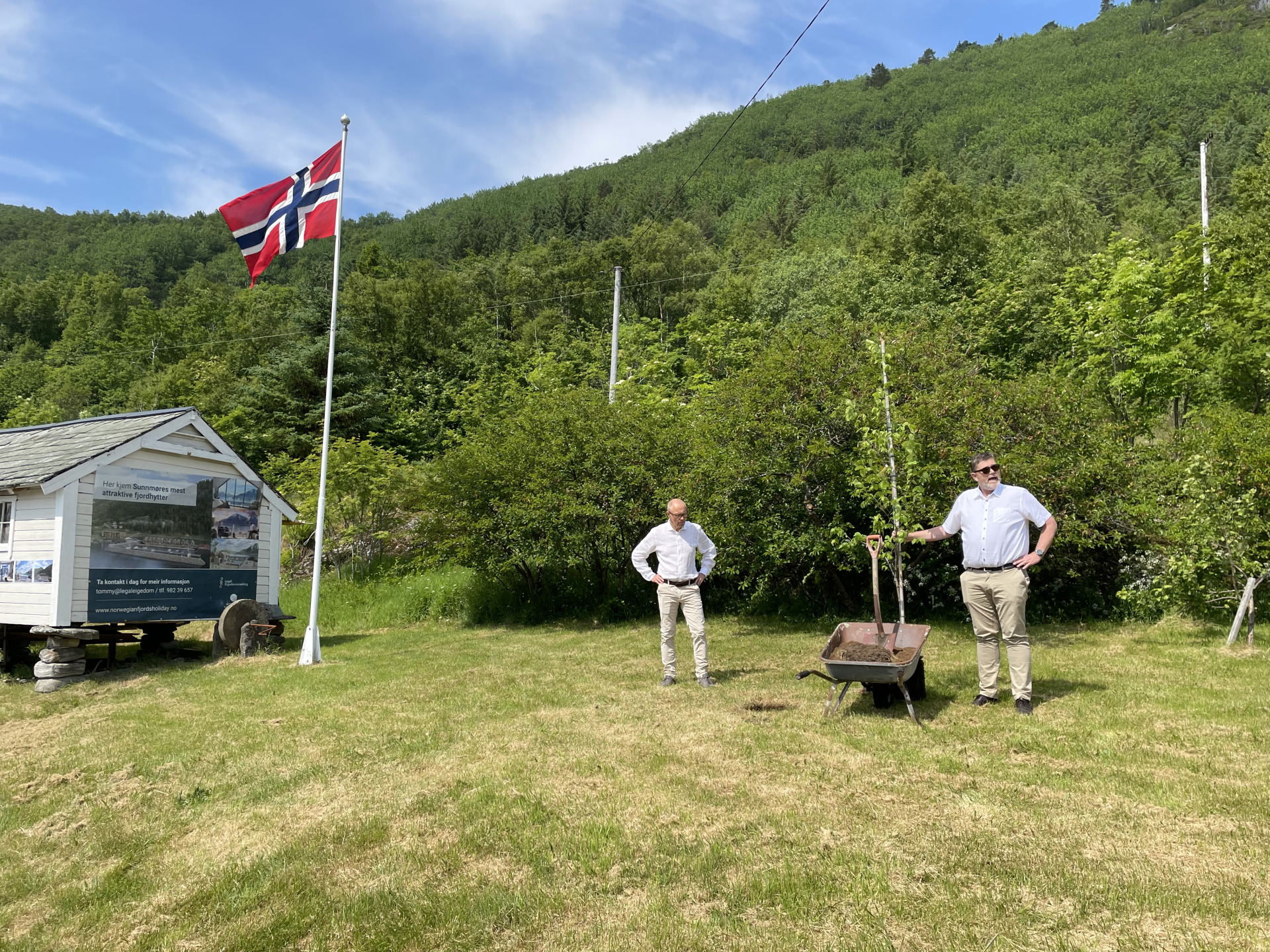 Hareid-ordførar Bernt Brandal plantar alm som symbol for salstart av Sunnmøres mest attraktive fjordhytter.